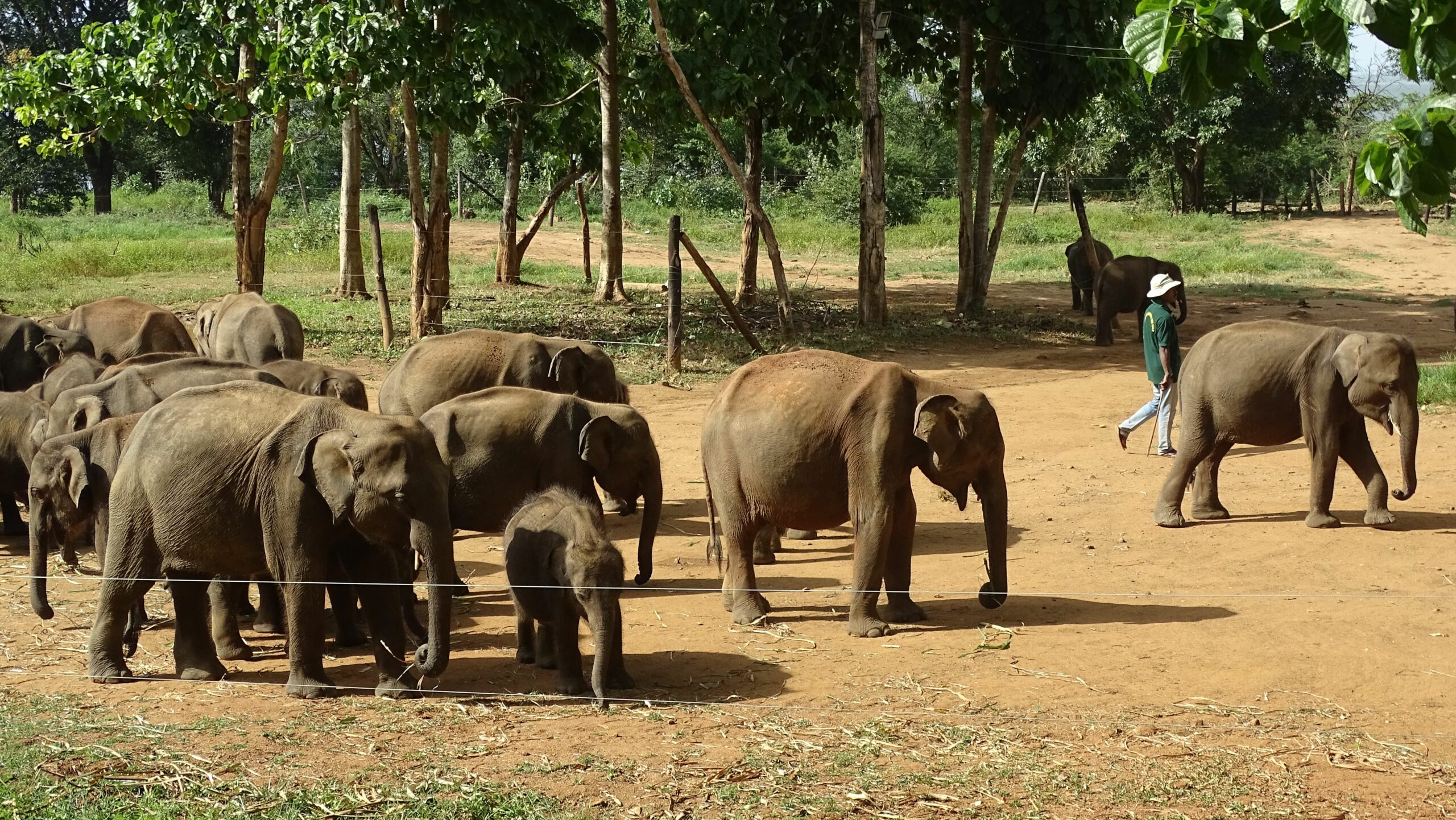 3 days - Sri Lanka with Yala National Park